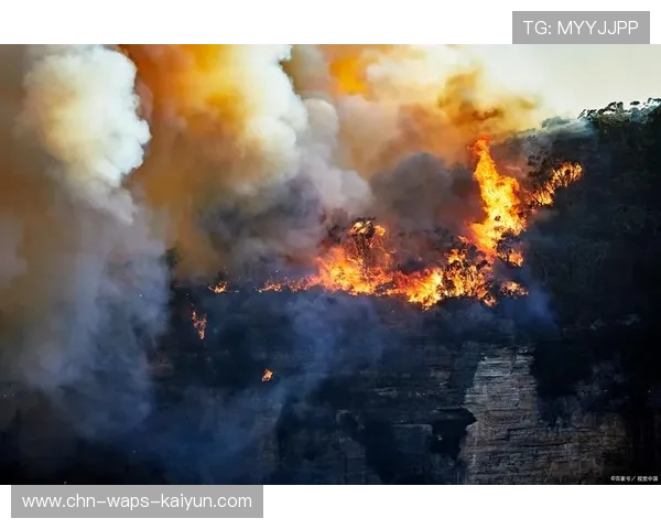 浙江队攻势堆叠如潮水般不断涌来