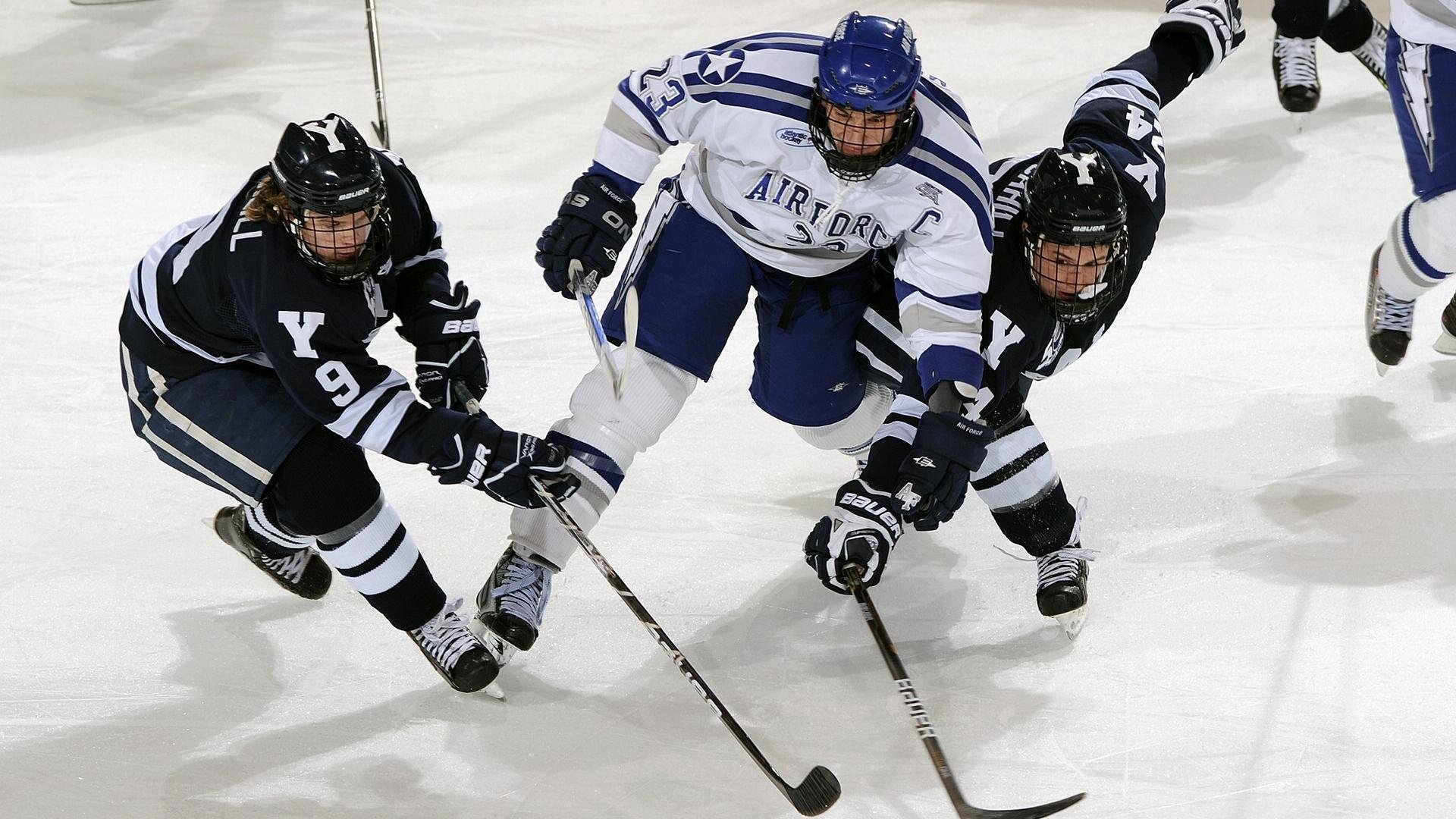 体育粉丝经济快速发展